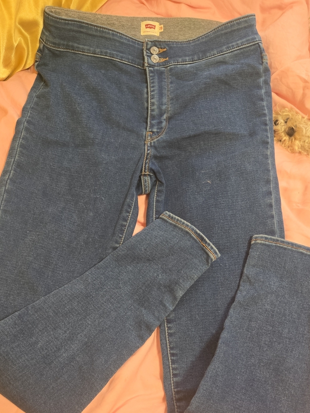Levi's Dark Blue Women's Jeggings — Slim Stretch Fit